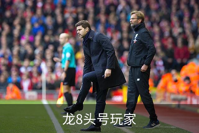 龙8头号玩家公司简介